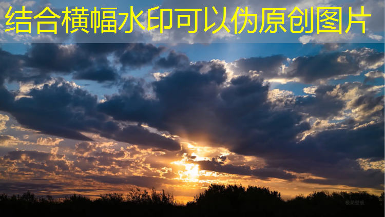 室内健身器材的架子
